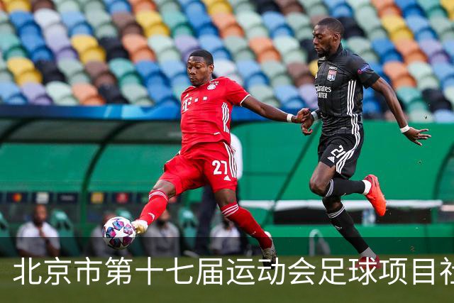 北京市第十七届运动会足球项目社会组暨第六届社区杯落幕